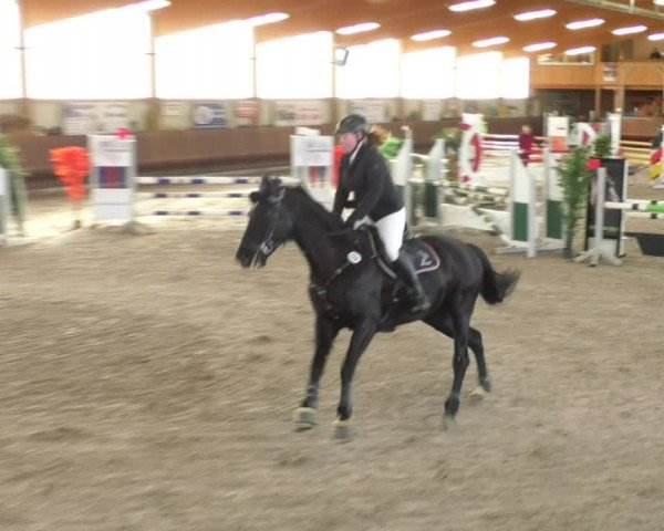 Reitturnier Dettingen 2019