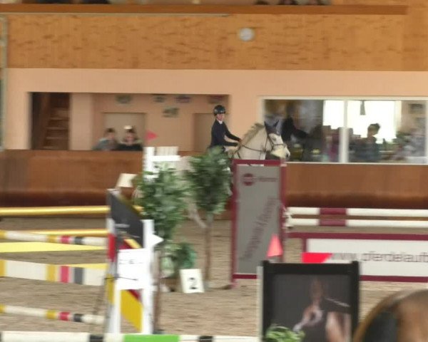 Reitturnier Dettingen 2019