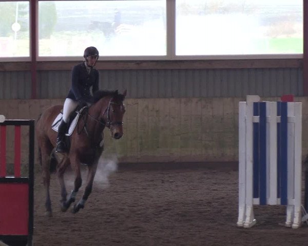 Reitturnier Süderlügum 2019