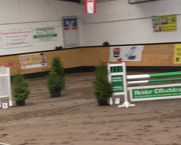 Reitturnier Heide 2019