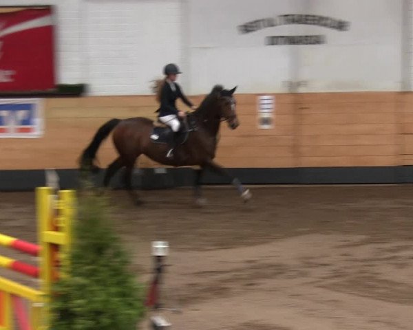 Reitturnier Heide 2019
