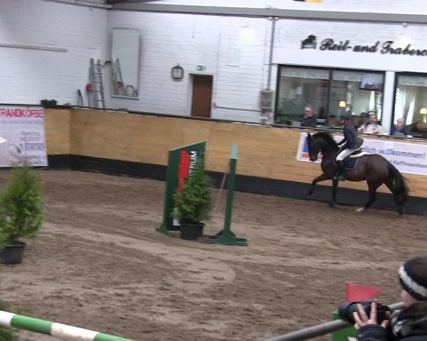 Reitturnier Heide 2019