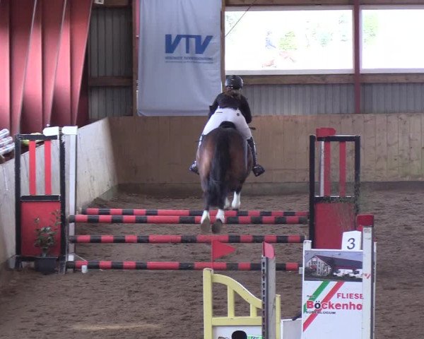 Reitturnier Süderlügum 2019