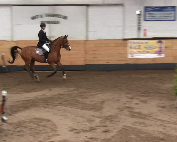 Reitturnier Heide 2019