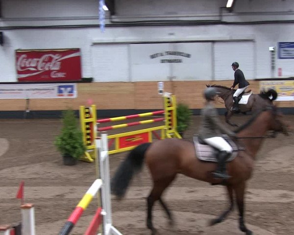 Reitturnier Heide 2019