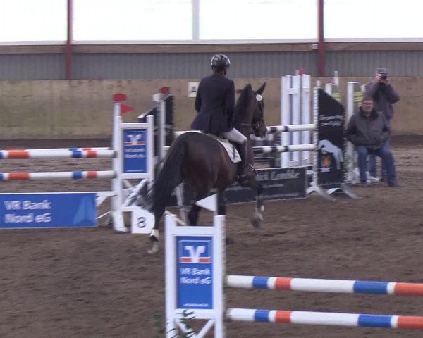 Reitturnier Süderlügum 2019