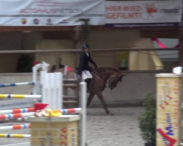 Reitturnier Heidelberg-Kirchheim 2019