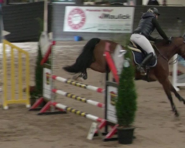 Reitturnier Heilbronn 2021