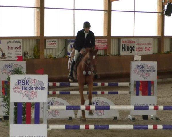 Reitturnier Dettingen 2019