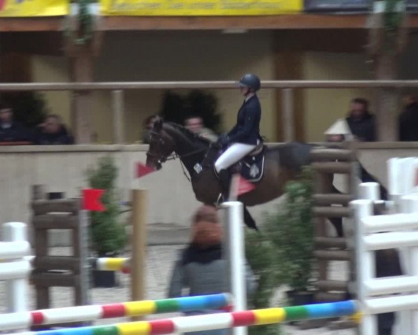 Reitturnier Heidelberg-Kirchheim 2019
