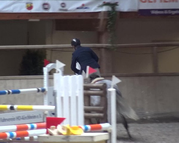 Reitturnier Heidelberg-Kirchheim 2019