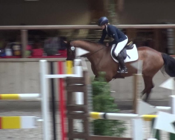 Reitturnier Heidelberg-Kirchheim 2019
