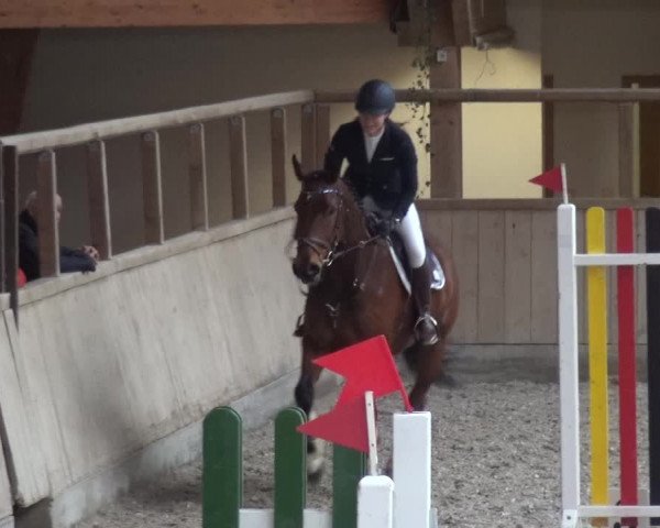 Reitturnier Heidelberg-Kirchheim 2019