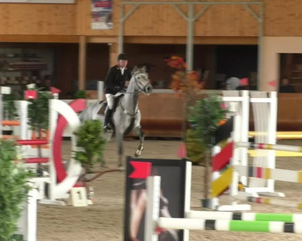 Reitturnier Dettingen 2019