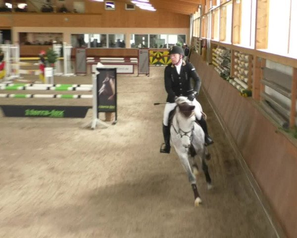 Reitturnier Dettingen 2019