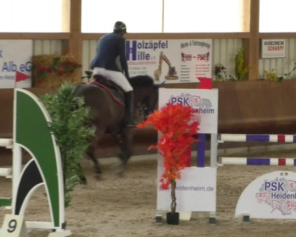 Reitturnier Dettingen 2019