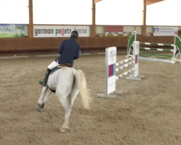 Reitturnier Dettingen 2019