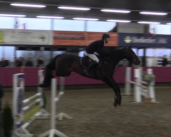 Reitturnier Vlotho-Exter 2019