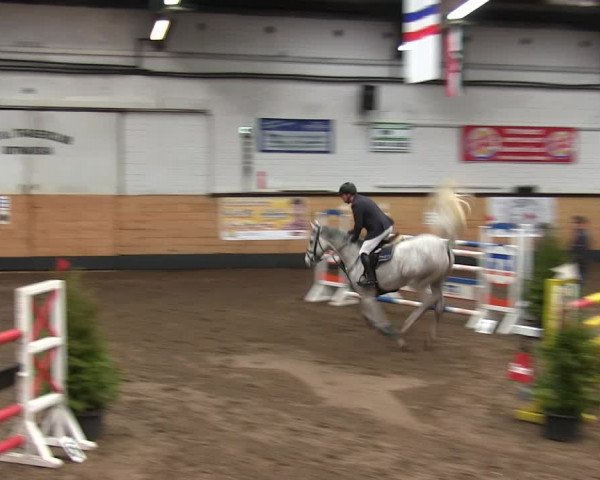 Reitturnier Heide 2019