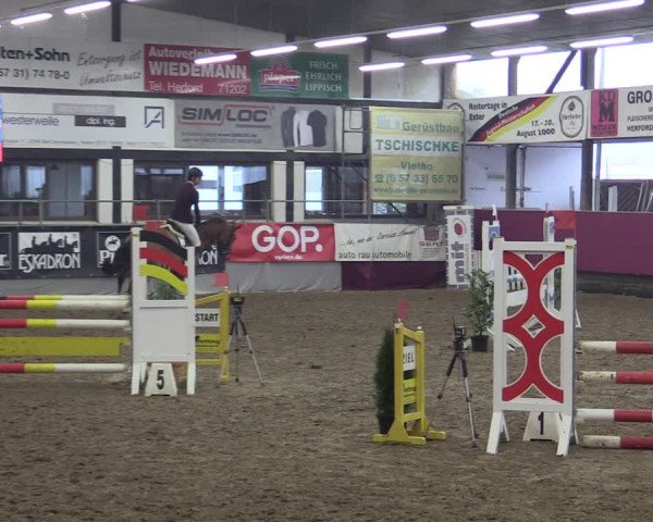 Reitturnier Vlotho-Exter 2019