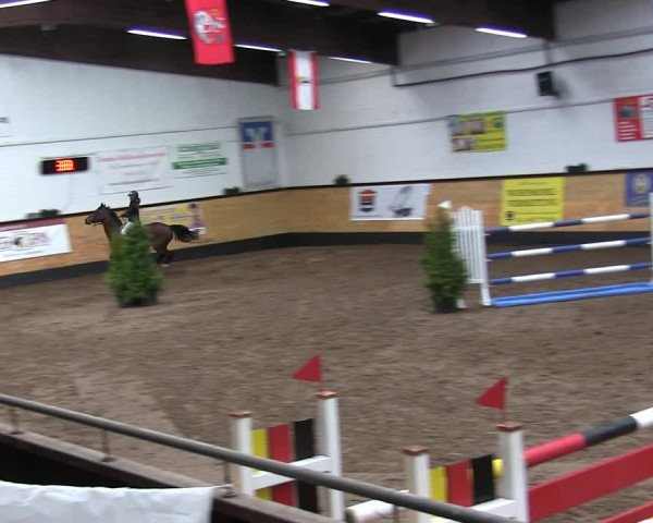 Reitturnier Heide 2019