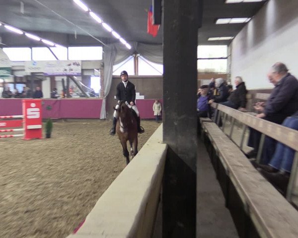 Reitturnier Vlotho-Exter 2019