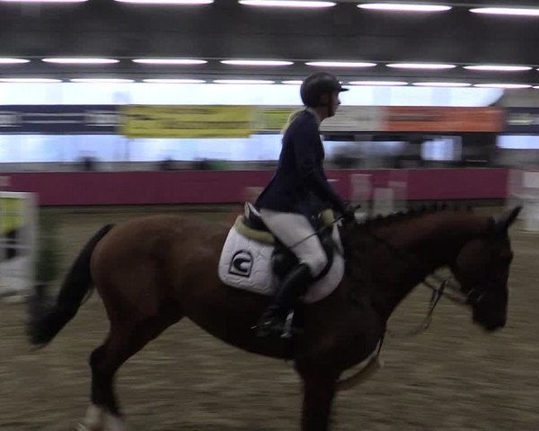 Reitturnier Vlotho-Exter 2019