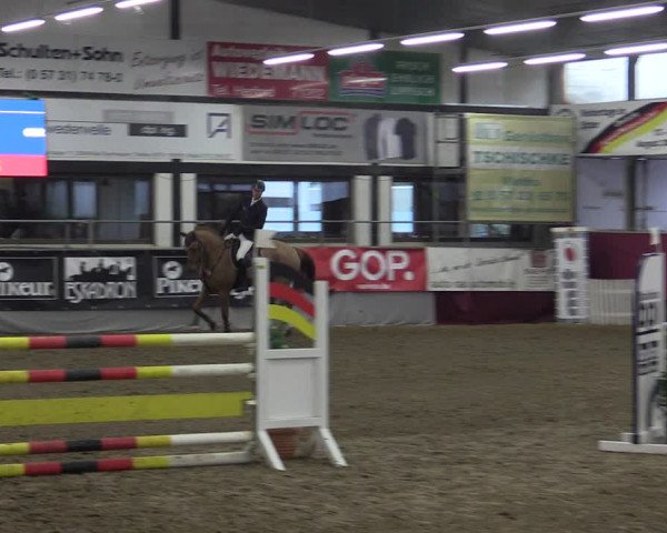 Reitturnier Vlotho-Exter 2019