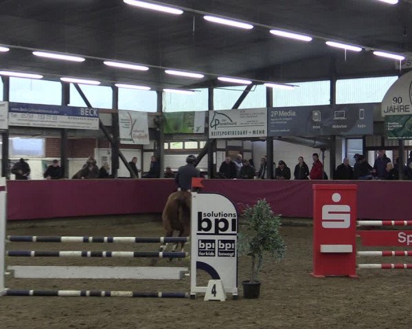 Reitturnier Vlotho-Exter 2019