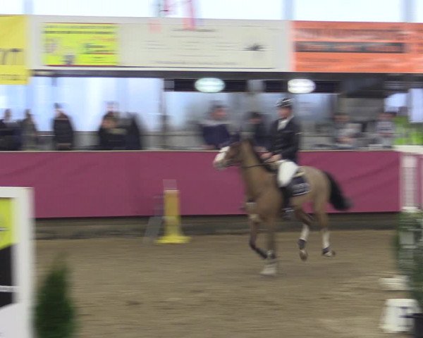 Reitturnier Vlotho-Exter 2019
