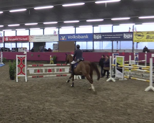 Reitturnier Vlotho-Exter 2019