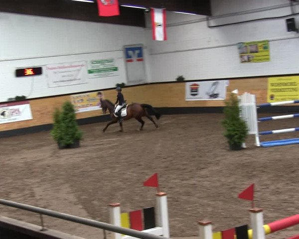 Reitturnier Heide 2019