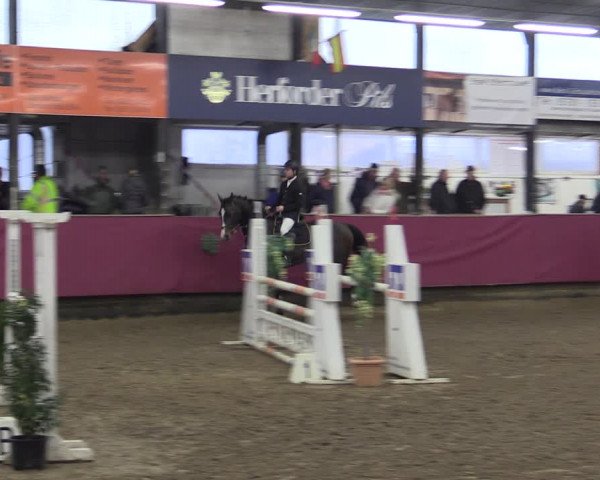 Reitturnier Vlotho-Exter 2019