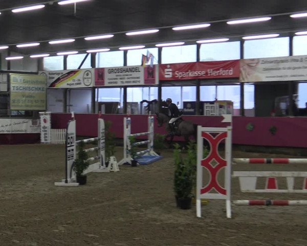 Reitturnier Vlotho-Exter 2019