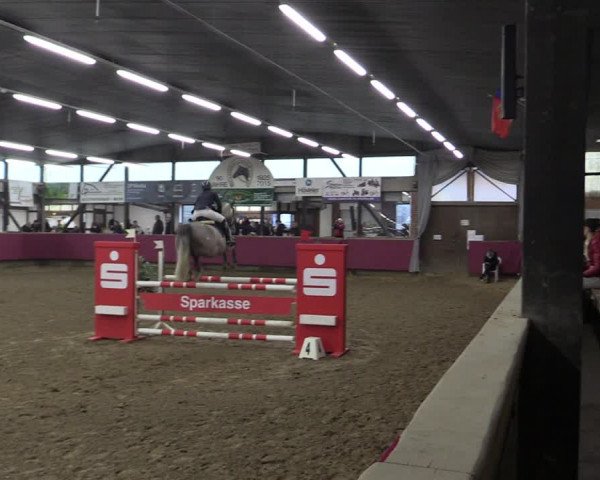 Reitturnier Vlotho-Exter 2019
