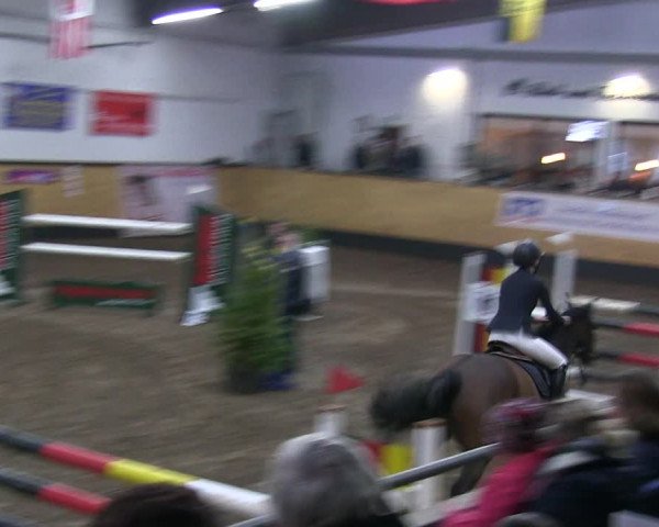 Reitturnier Heide 2019