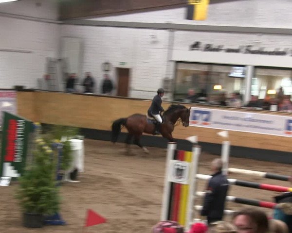 Reitturnier Heide 2019