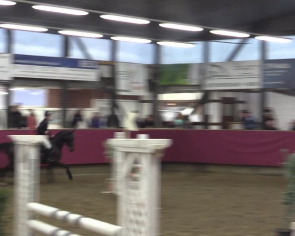 Reitturnier Vlotho-Exter 2019