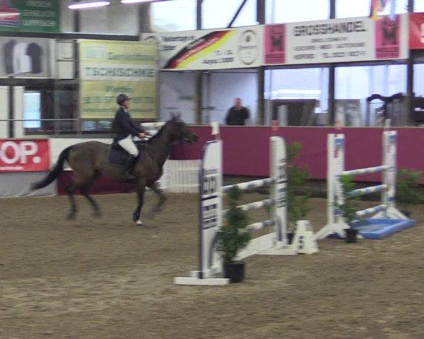 Reitturnier Vlotho-Exter 2019