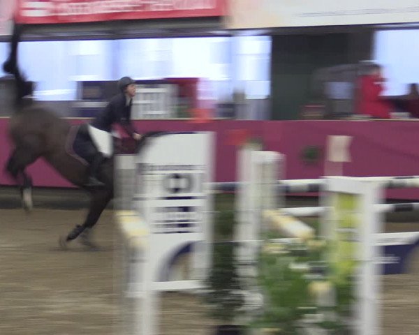 Reitturnier Vlotho-Exter 2019
