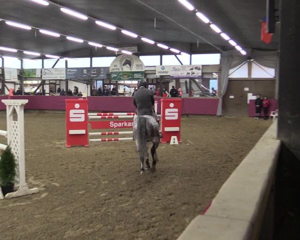 Reitturnier Vlotho-Exter 2019