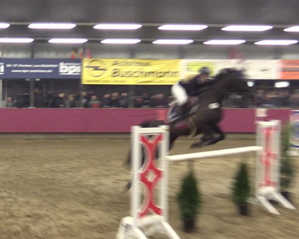 Reitturnier Vlotho-Exter 2019