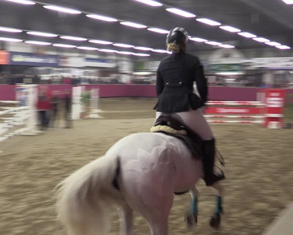 Reitturnier Vlotho-Exter 2019