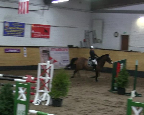 Reitturnier Heide 2019