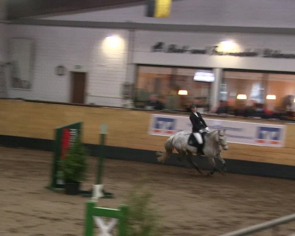 Reitturnier Heide 2019