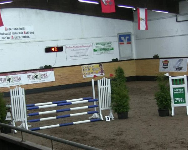 Reitturnier Heide 2019