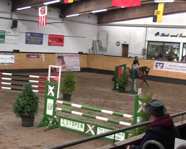 Reitturnier Heide 2019