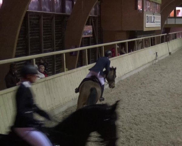 Reitturnier Heidelberg-Kirchheim 2019
