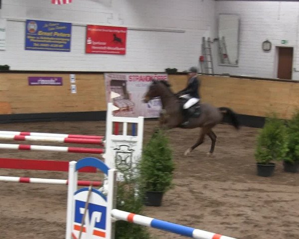 Reitturnier Heide 2019
