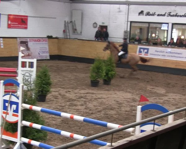 Reitturnier Heide 2019